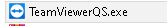 Teamviewer Quick support in Downloads folder