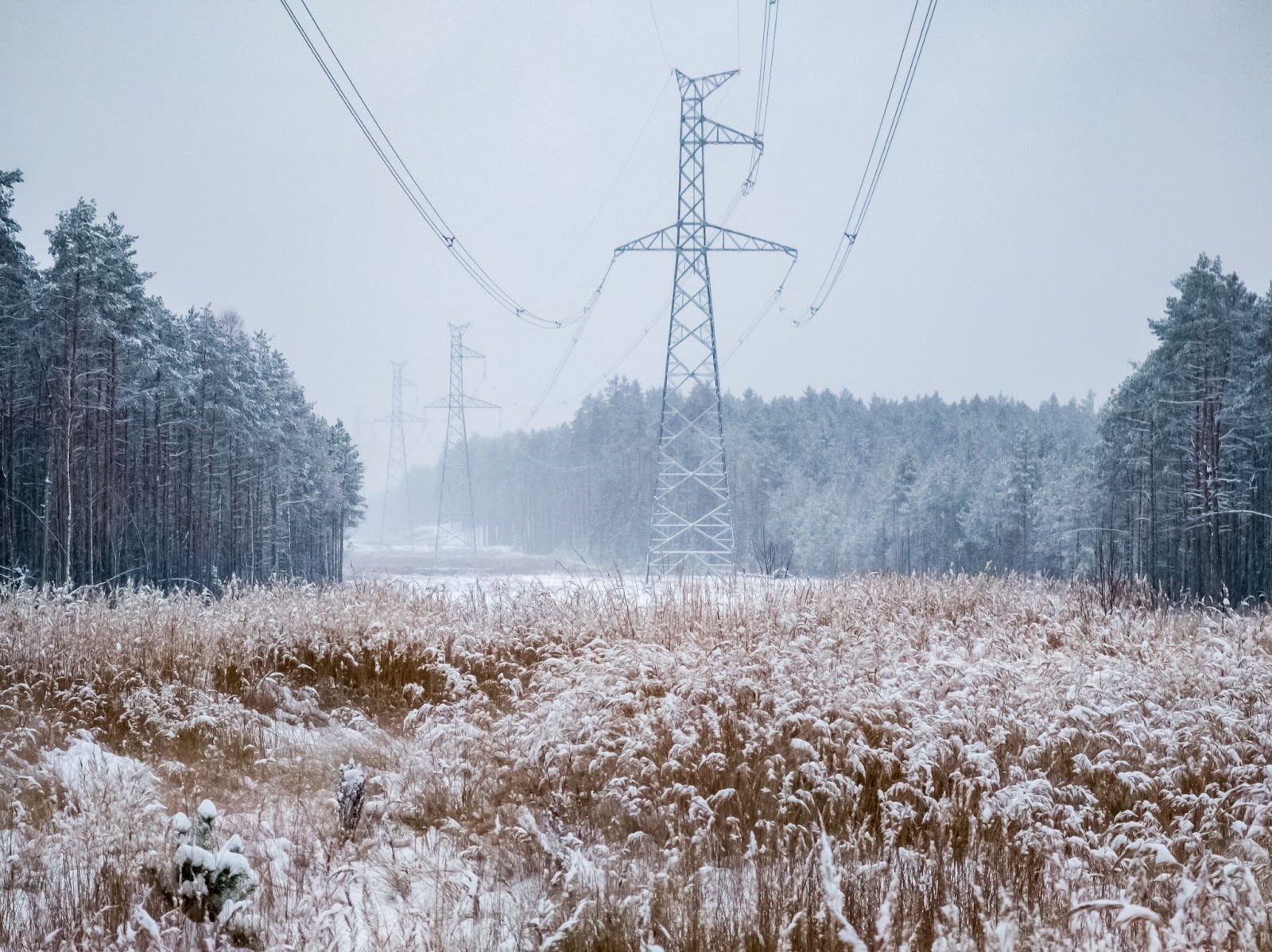 power lines in winter 