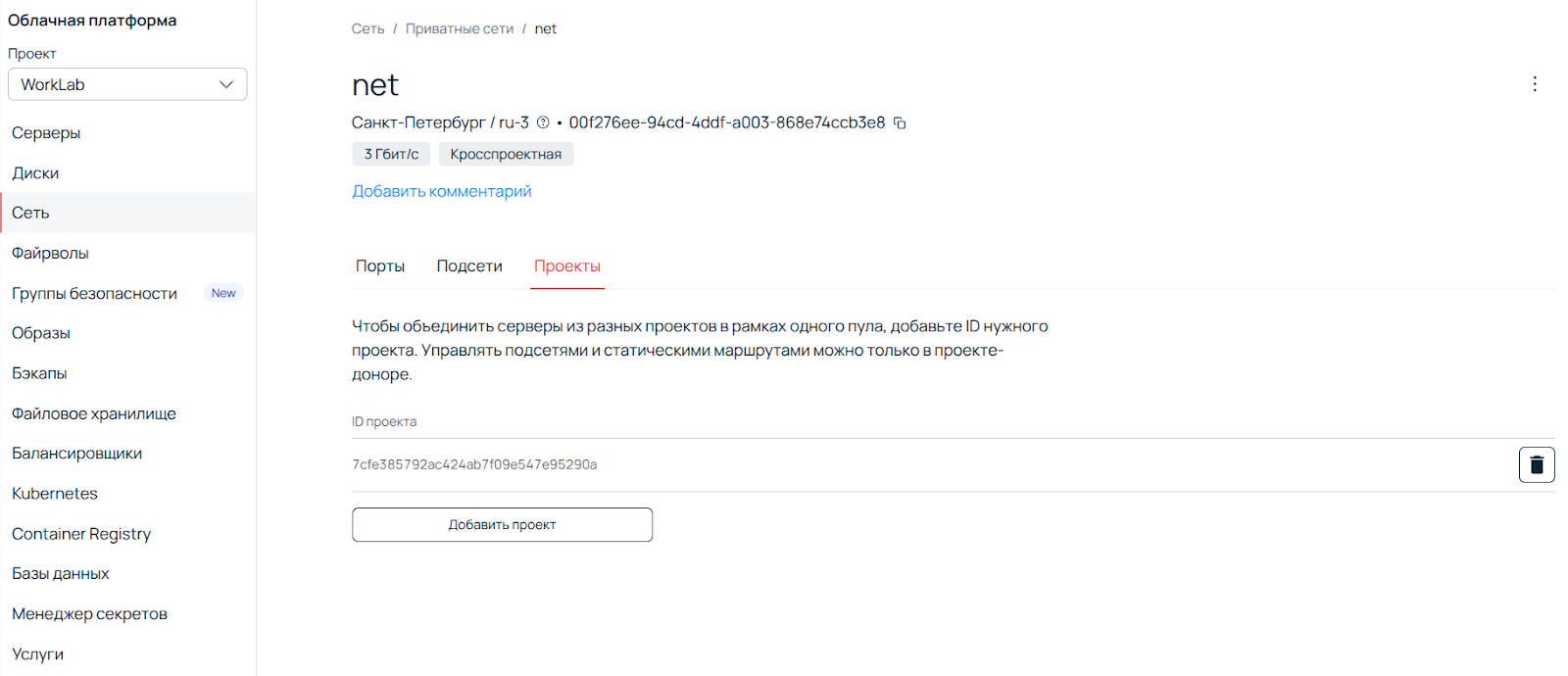Скриншот ПУ: проект в настройках сети облачной платформы.