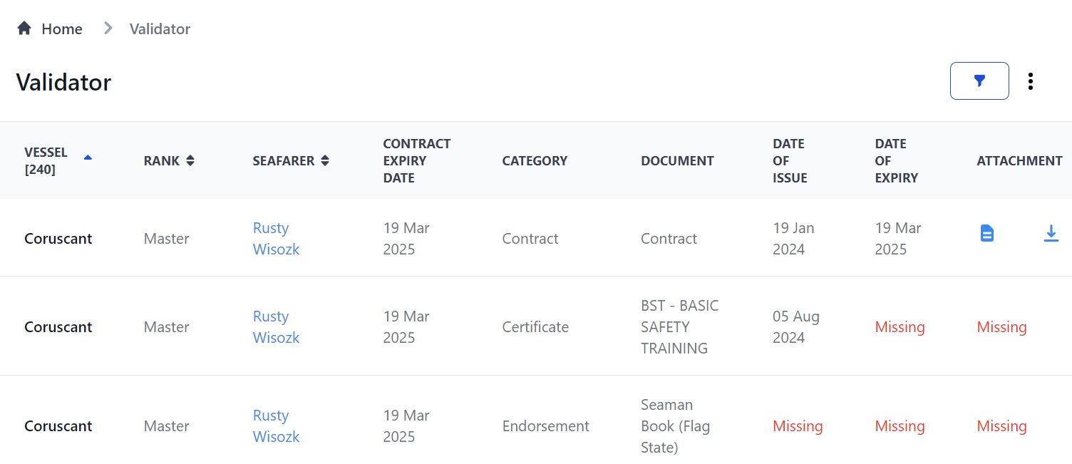 Screenshot of Martide's maritime crew management software's Validator page