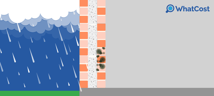 moisture exposure in cavity walls