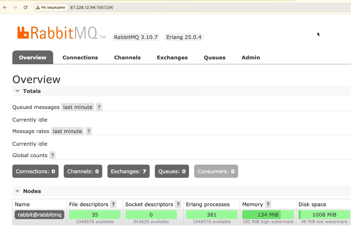 Скриншот панели управления RabbitMQ на сервере. 