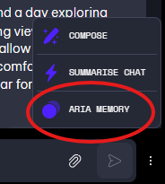 Aria AI memory access from the chat 