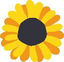 G:\My Drive\CAT\Graphics\sunflower head.jpg