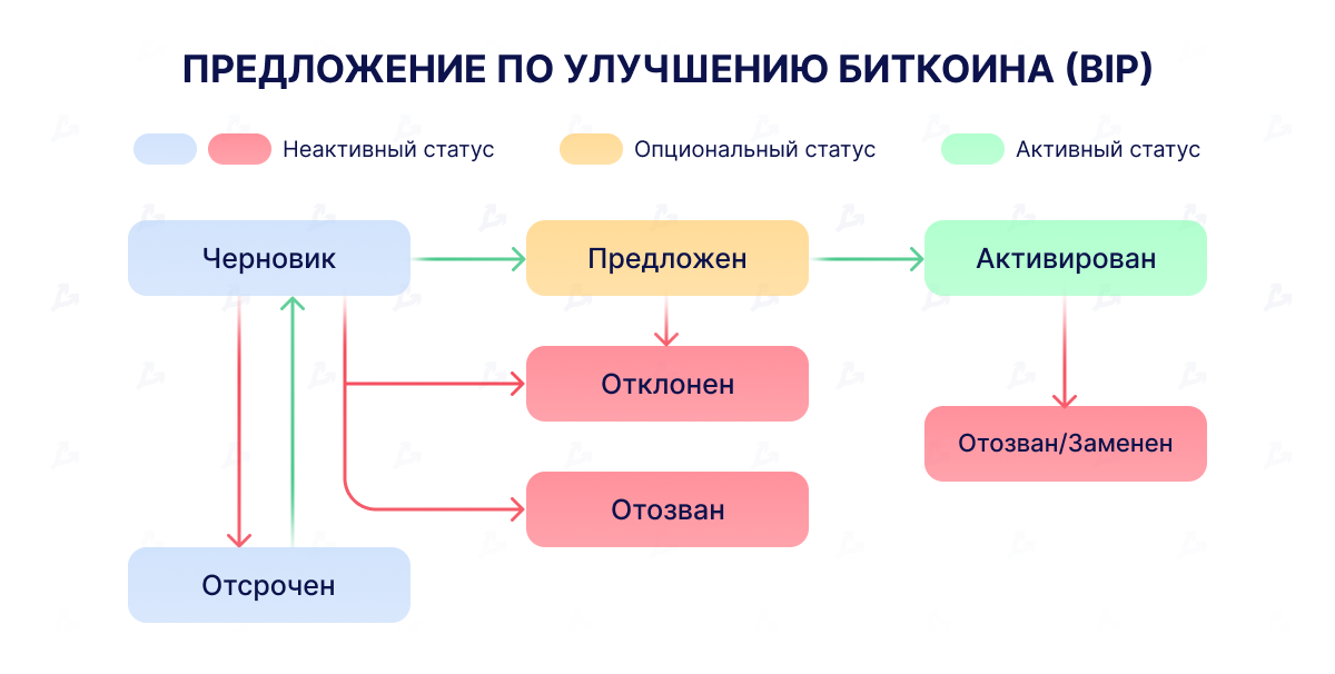 Добавь кота: чем интересно потенциальное обновление OP_CAT в сети биткоина