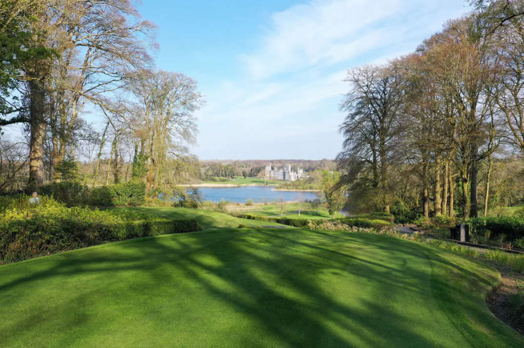 view of dromoland golf course with trees and a lake