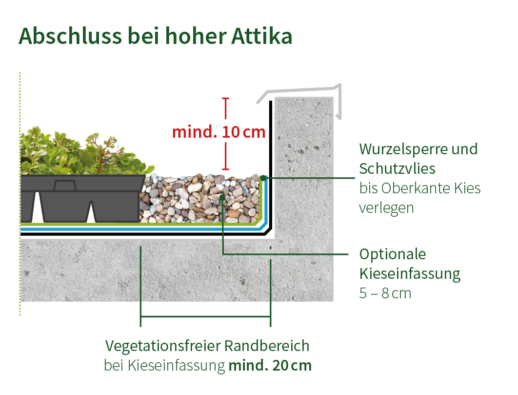 Dachbegrünung: Abschluss bei hoher Attika, mind. 10 cm