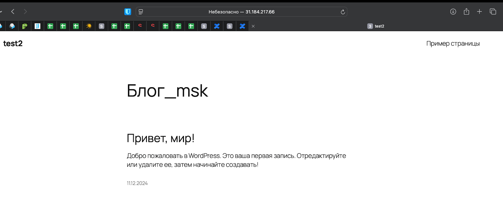 Скриншот страницы по адресу 31.184.217.66. Наполнение страницы: 

Блог_msk
Привет, мир!
Добро пожаловать в WordPress. Это ваша первая запись. Отредактируйте или удалите ее, затем начинайте создавать!