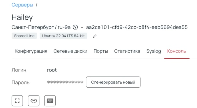 Скриншот фрагмента панели управления сервером в Selectel.