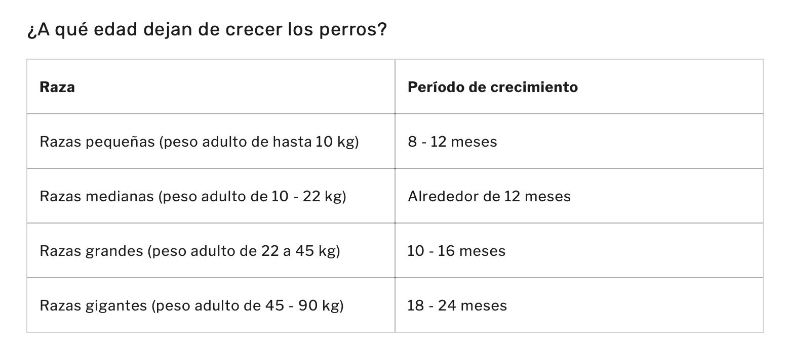 aplicar regraA qué edad un perro deja de ser cachorro lh7-qw