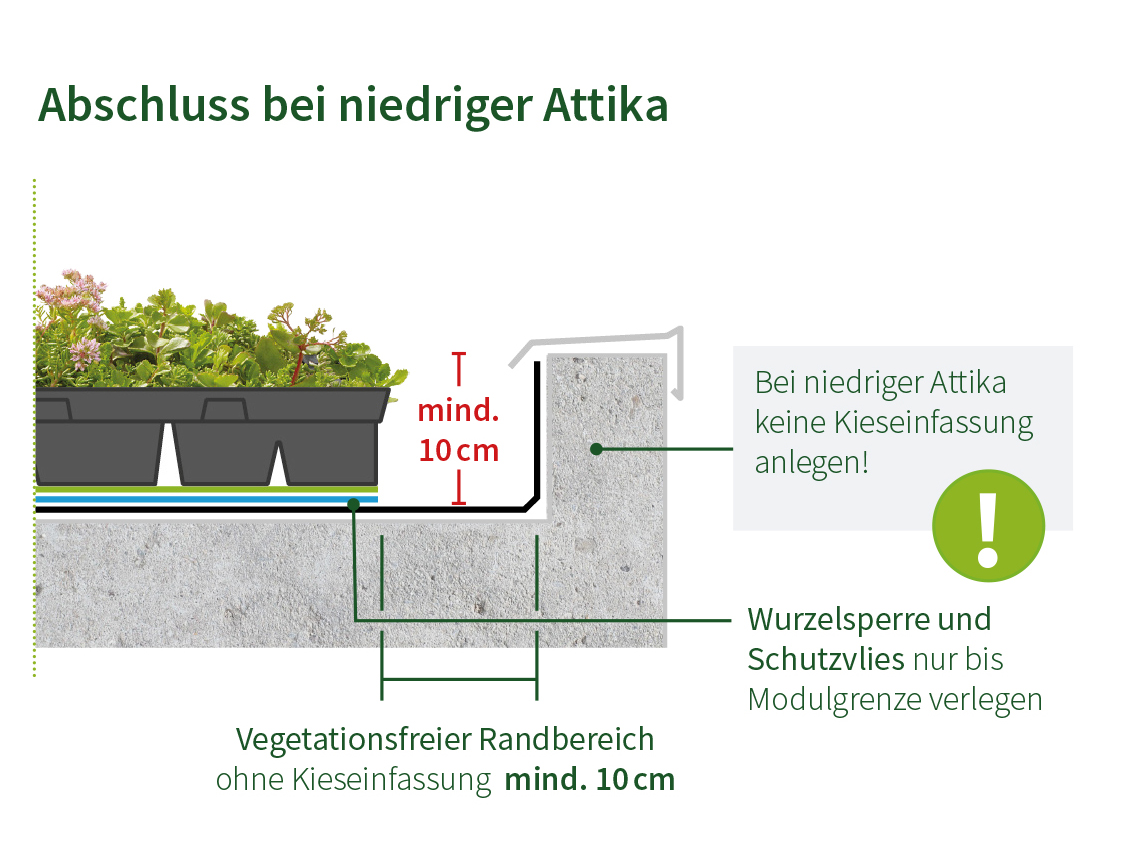 Dachbegrünung: Abschluss bei niedriger Attika, mind. 10 cm