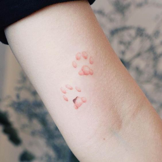 aplicar regra7 ideas de tatuajes de gato que no podrás resistir lh7-qw