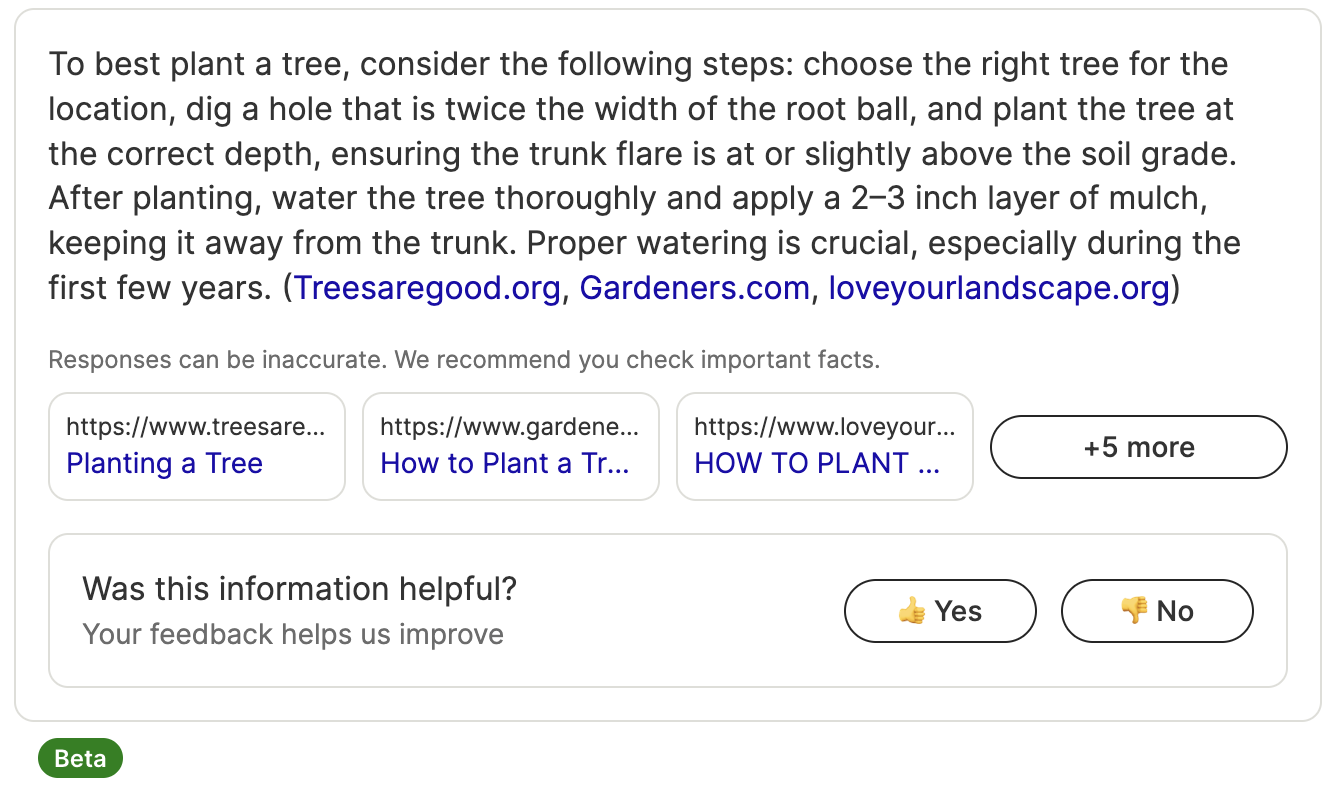 Screenshot AI Overviews - summary above Ecosia results 
