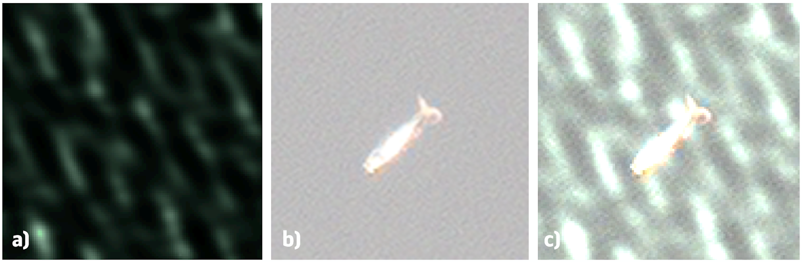 A white fish in the sky

AI-generated content may be incorrect.