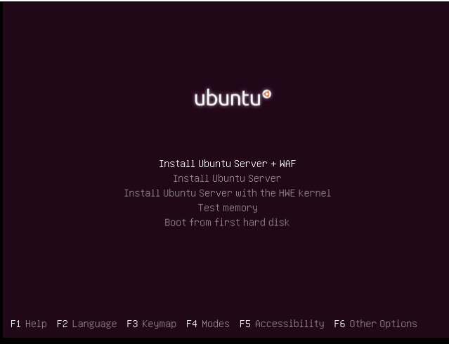 Скриншот псевдографического интерфейса с окном приветствия установщика Ubuntu.