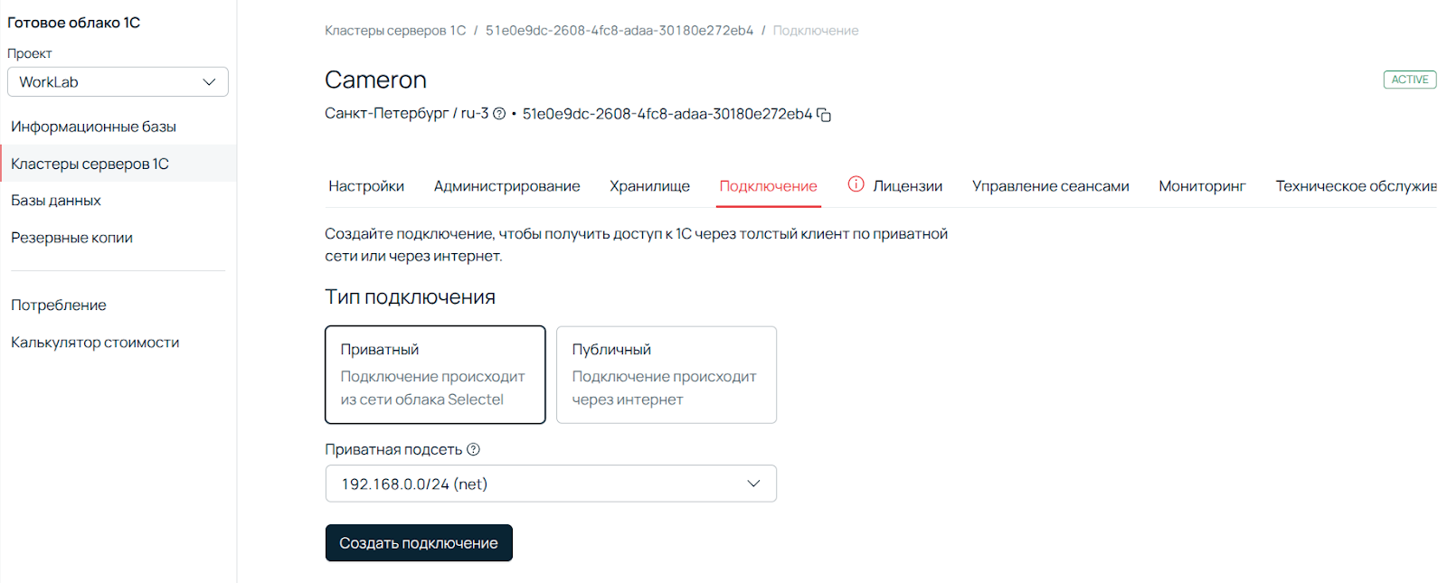 Скриншот ПУ: выбор типа подключения — подсвечен «Приватный».