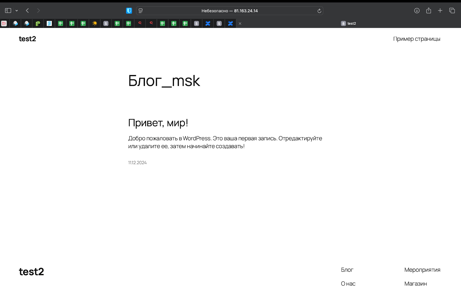 Скриншот страницы по адресу 81.163.24.14. Наполнение страницы: 

Блог_msk
Привет, мир!
Добро пожаловать в WordPress. Это ваша первая запись. Отредактируйте или удалите ее, затем начинайте создавать!