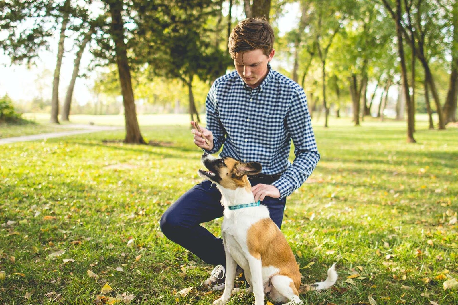 A man training his dog in a park