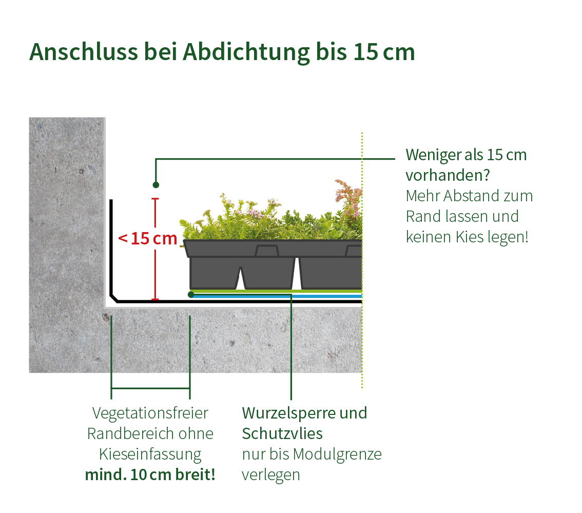 Dachbegrünung: Anschluss bei Abdichtung bis15cm