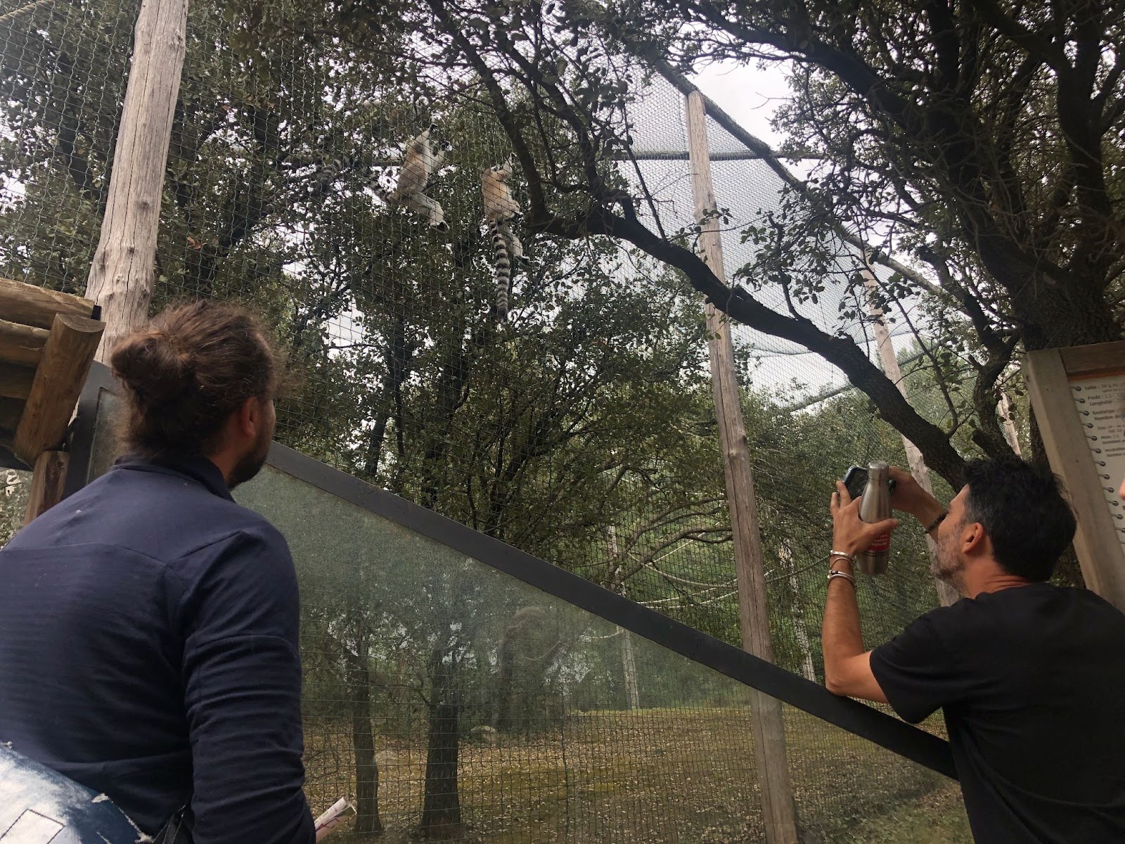 Credit: Léo Silly-Pélissier and team at the zoo to capture the animals natural body language and communication for the animation (Silly-Pélissier)