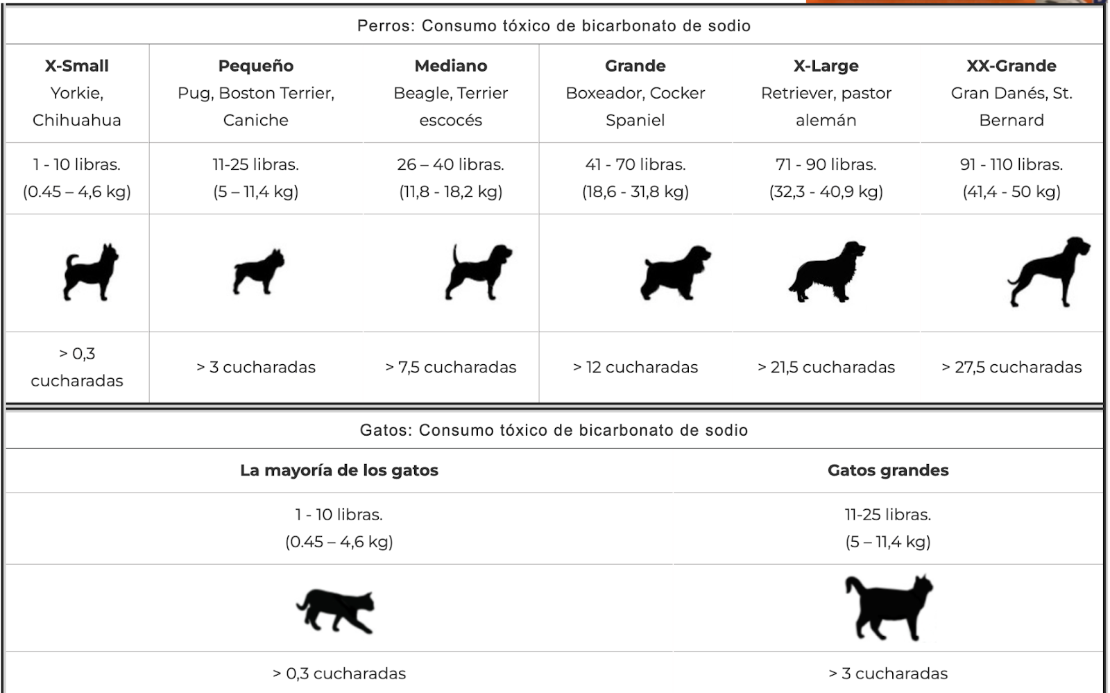 aplicar regra¿El bicarbonato de sodio es bueno para el estómago de los perros? AD_4nXfOZAflq3qnKfDNy51QVzMtx7pgAXi3Qbe7cg9-m04sCxTMPLnaobXYY3I2DEZIjYsnoTdTCGglX14TAz40lgJgisyLHRxb7ZMmDXFVeA20nDFsx_a4aBlnUGQ32lyR2k9EopnLFTx1h4RHyO9a34RJmmsb?key=C0P5OqLbUziXFyCrATkKrQ