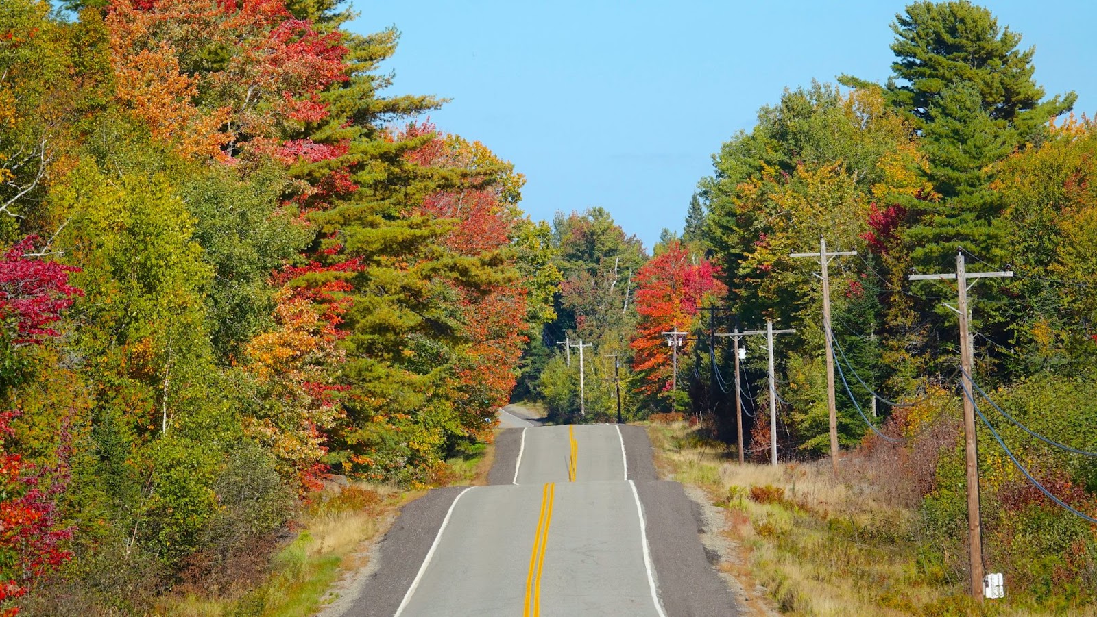 power lines in New England