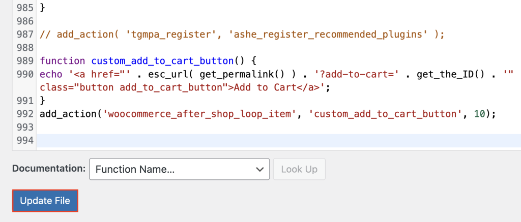 Le bouton Mettre à jour le fichier dans le menu Éditeur de fichiers de thème du tableau de bord de WordPress